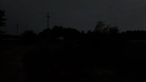 Silence in the middle of the forest Stock Footage 316805445