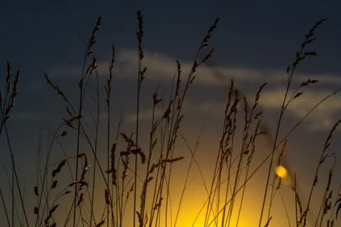 Silence Stock Photos