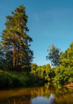Silence on the river in the middle of the forest. Unique natural locations fa Foto stock