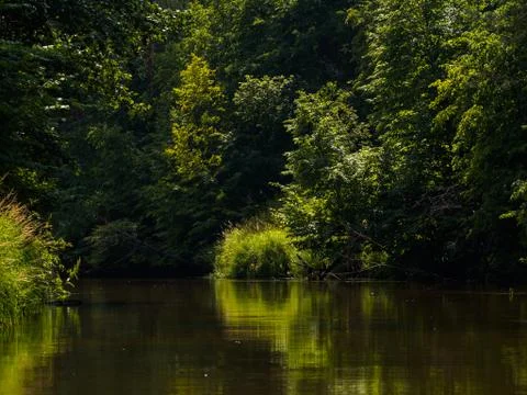 Silence on the river in the middle of the forest. Unique natural locations fa Stock Photos