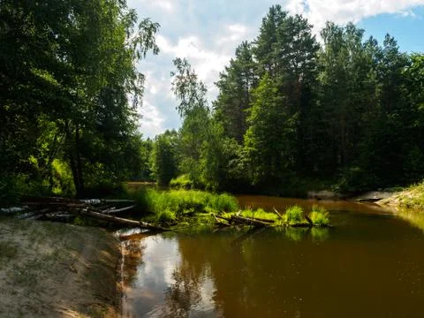 Silence on the river in the middle of the forest. Unique natural locations fa Stock Photos