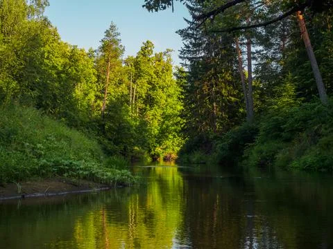 Silence on the river in the middle of the forest. Unique natural locations fa Stock Photos