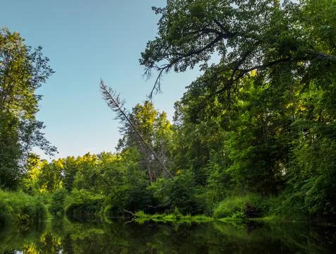 Silence on the river in the middle of the forest. Unique natural locations fa Stock Photos