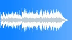 Silent Acoustic Night - Short Version Stock Music
