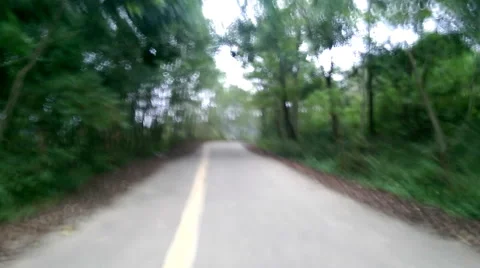 Silent and empty road in the forest, vibration and horror effect Stock Footage 67202979