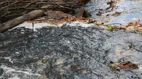 Silent autumn river Video stock 55705950