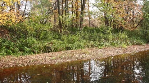Silent autumn river Video stock 55729047