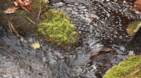 Silent autumn river Video stock 55729055