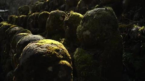 Silent Buddhist Stone Figures in Mossy Woodland Shrine Stock Footage 331557572