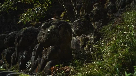 Silent Buddhist Stone Figures in Mossy Woodland Shrine Stock Footage 331557632