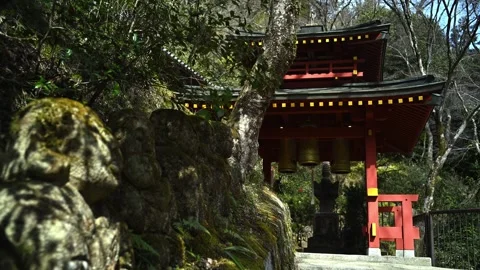 Silent Buddhist Stone Figures in Mossy Woodland Shrine Stock Footage 331557721