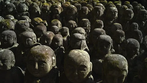 Silent Buddhist Stone Figures in Mossy Woodland Shrine Stock Footage 331557750