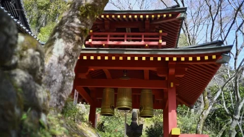 Silent Buddhist Stone Figures in Mossy Woodland Shrine Stock Footage 331557752