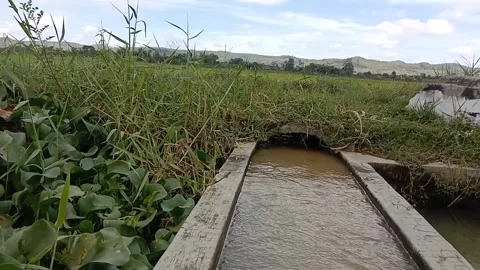 Silent current in the village channel. Vídeos de archivo 333802525