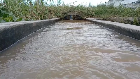 Silent flow in the concrete hallway. Vídeo Stock 333802445