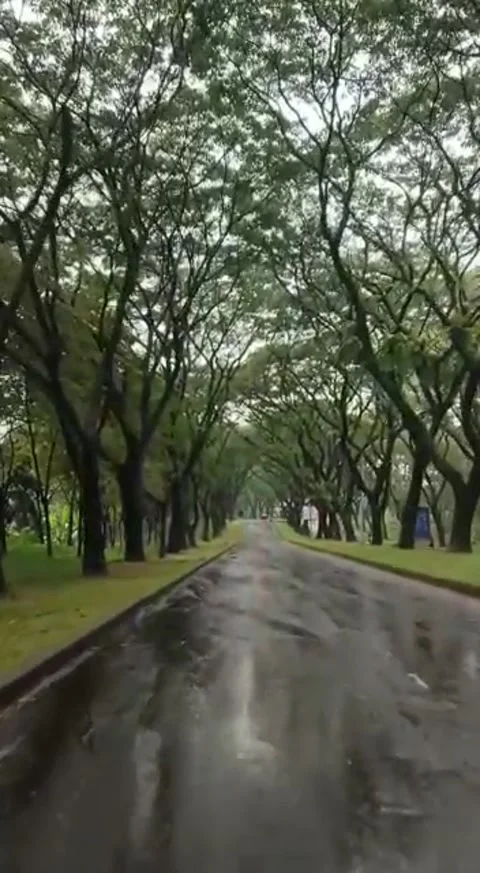 Silent journey Stock Footage 221962718