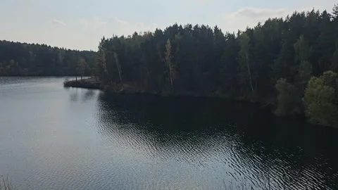 Silent lake reflects distant trees under soft sky Stockbeeldmateriaal 347500349