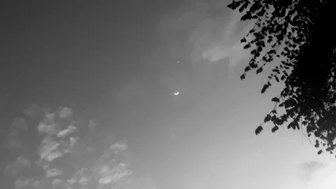 Silent Moon and Star Stock Footage 296885557