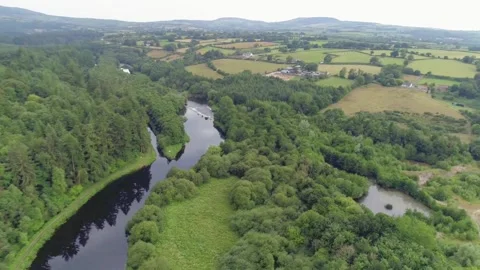 Silent nature on the river Stock Footage 202375049