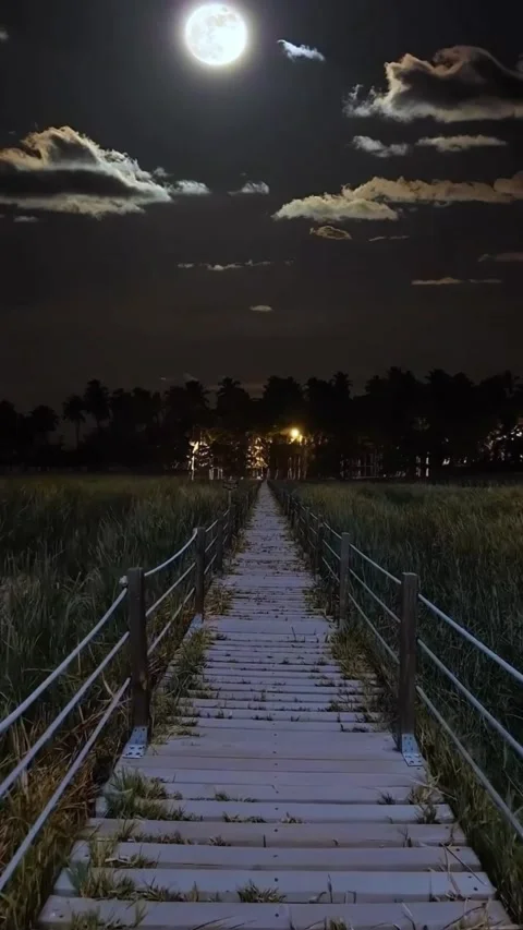 Silent Night Stock Footage 234859883