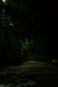 Silent night Photos
