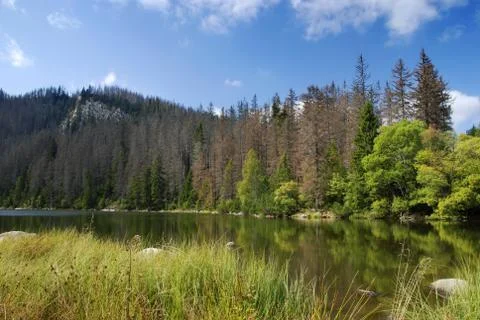 Silent river Stock Photos