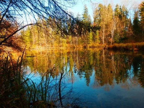 Silent River Stock Photos