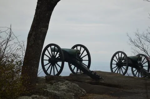 Silent Sentinels Stock Photos