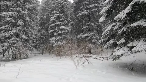 Silent snowing in high mountain Stock Footage 305492391
