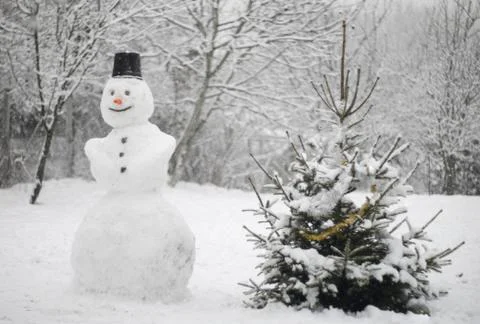 Silent snowman Stock Photos