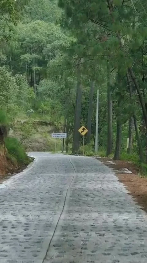 Silent Straight Path Stock Footage 243176546