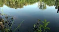 Silent surface of a pond at a sunny day HD Footage