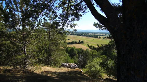 Silent valley Video stock 33921782