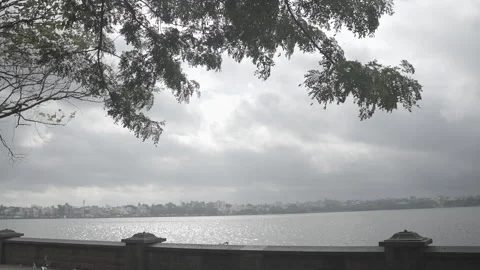 A silent view of lake with tree and water Video stock 325420974