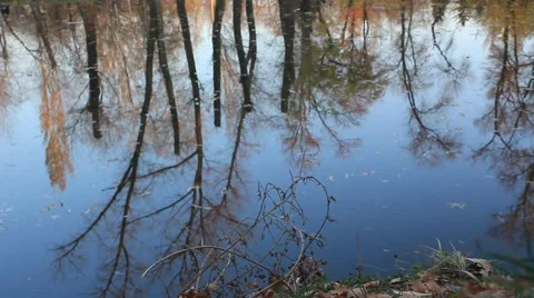 Silent Water Stock Footage 921404