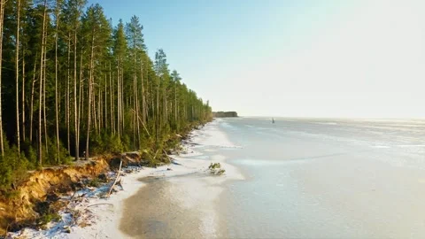 Silent Winter Commencement, Thin Ice and Persistent Pines Along the Stream Stock Footage 257767875