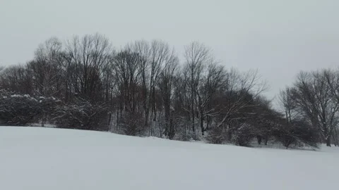 Silent Winter Forest Covered In Fresh Snow Stock Footage 323423374