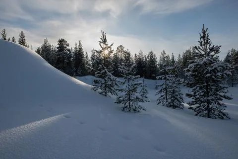 Silent Winter Foto stock