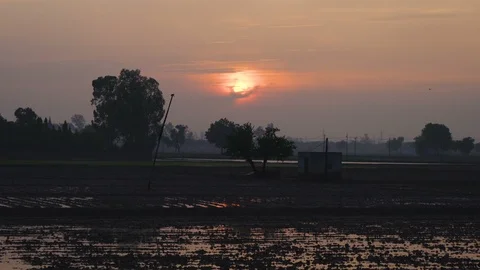 Silhouette of agricultural fields in dusky evening sunset. 動画素材 105393512