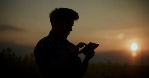 Silhouette Agronomist Using Tablet PC In Farm. Video stock 246831507