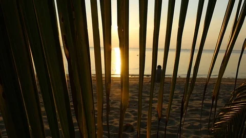 Silhouette of alone man rests sitting on the beach against the backdrop of the Stock Footage 101067007