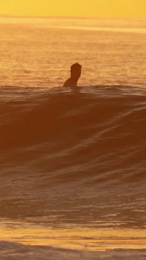 Silhouette of alone surfer during sunset Stock Footage 317583284