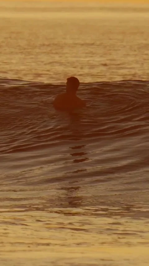 Silhouette of alone surfer during sunset Stock Footage 317583291