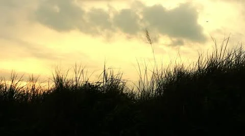 SILHOUETTE AND SUNSET 库存影片 11765001