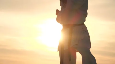 Silhouette of an athlete performing various methods of karate at sunset Stock-Footage 91903859