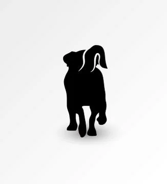 Silhouette of back side of walking dog Jack Russell Terrier. Vector illustration Stock Illustration