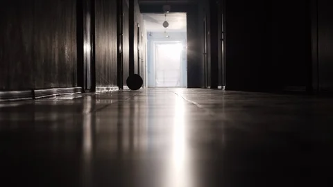 Silhouette of Ball Rolling on Floor Stock Footage 100798339