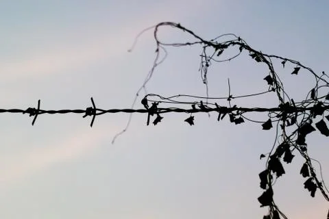 Silhouette of barb wire at a post Stock Photos