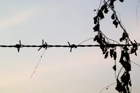 Silhouette of barb wire at a post Stock Photos