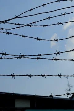 Silhouette of Barbed Wire Background. Stock Photos